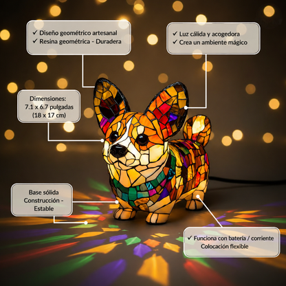 Corgi radiante
