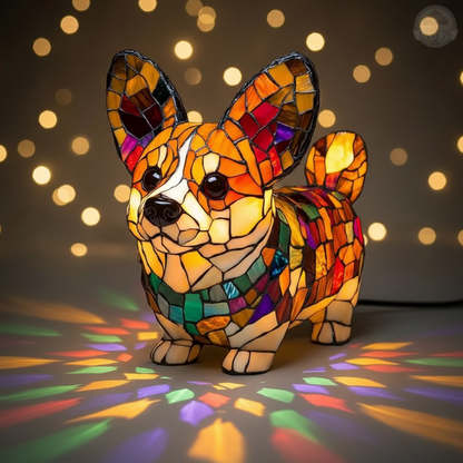 Corgi radiante