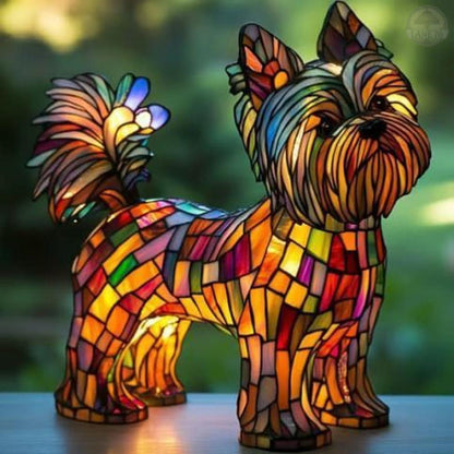 Yorkshire Terrier radiante